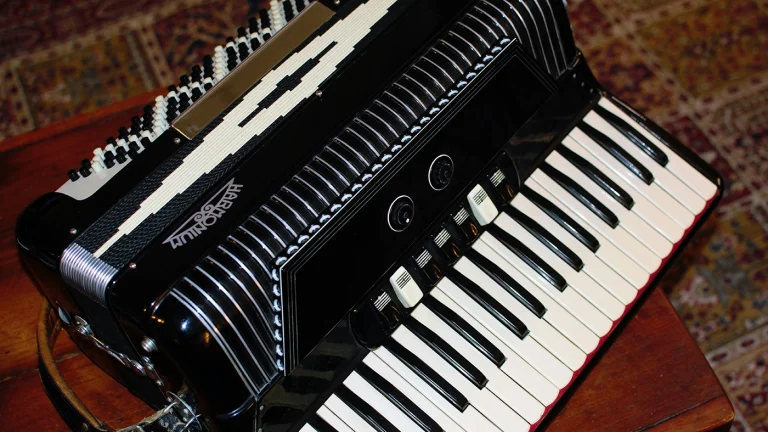 fisarmonica ph. Vito Natale